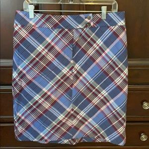 Ann Taylor skirt